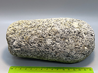 Granodiorite beach cobble.
